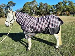 ceejay horse supplies australia