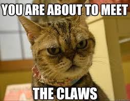 you are about to meet the claws - Angry Cat - quickmeme