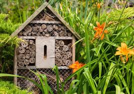 Offering Solitary Bees A Home In The