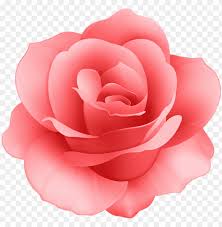 free png red rose flower png images