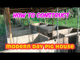 How To Construct Modern Day Pig House