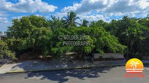 Inside The Abandoned Chart House Restaurant Coconut Grove