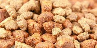 15 best grain free dog foods reviews