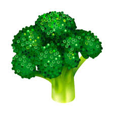 Garden Broccoli Vector Icon