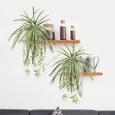 25 In Artificial Spider Plant Leaf