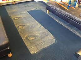 local carpet cleaning quick drying