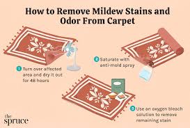 remove mildew stains and odor from carpet