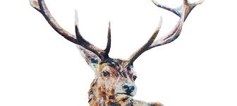 deer canvas artwork icanvas