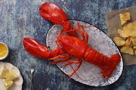maine lobster 3lb hard s pine