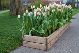 Wooden Crate As A Planter Box