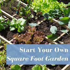 start square foot gardening with these
