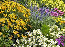 Design A Garden To Attract Pollinators