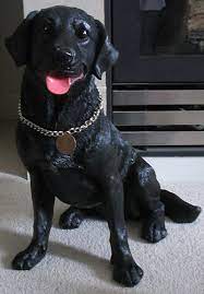 Black Lab Statue Black Labrador Dog
