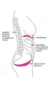 are tight pelvic floor muscles bad