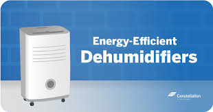 Energy Efficient Dehumidifier