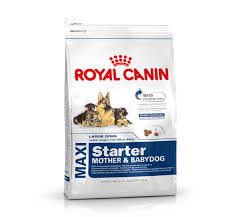 Royal Canin Maxi Starter Mother And Babydog Chicken Based Food 4 Kg