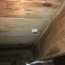 The basement ceiling is one of the premier spots to find mold in your house because mold forms in cold, damp areas. Mold Removal From Floor Joists In Basement Mastertech Environmental