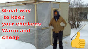 Cold Weather Chicken Coop Sub Zero Winter In Northern Wisconsin