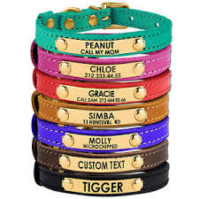 Save 25% on leather dog collars with curbside pickup! Leather Cat Collar Small Dog Puppy Personalized Nameplate Brass Buckle Ebay