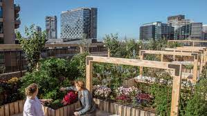 Melbourne Skyfarm Launches On A Cbd Rooftop