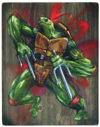 Ninja Turtles Art Prints Tmnt Poster