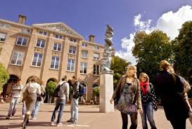 of groningen faculty of law llm guide