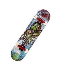 Punisher Skateboards Alien Rage Complete Skateboard With