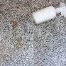 diy carpet cleaning solution how to