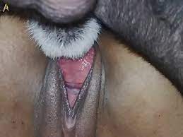 best perro porn videos page 1 at iality.best
