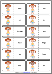 Here are three sets of picture cards for body parts. Body Parts Esl Vocabulary Worksheets