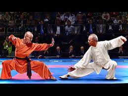 shaolin kungfu vs tai chi you