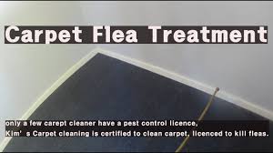 carpet flea treatment you