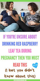 red raspberry leaf tea benefits and why