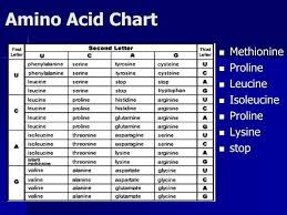 Ppt Amino Acid Chart Powerpoint Presentation Free
