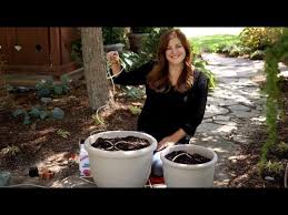 Using Drip Irrigation To Water Your
