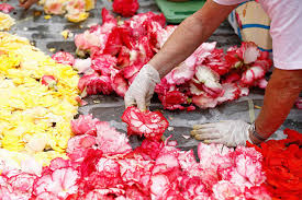 flower carpet 2016 brussels gardeners