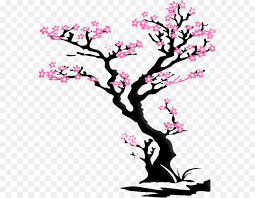 Cherry Blossom Tree Png 627