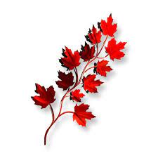 Red Maple Leaf And Branch Metal Wall