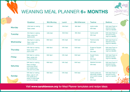 7 Day Meal Planner For Weaning Baby From 6 Months Sarah Beeson Mbe