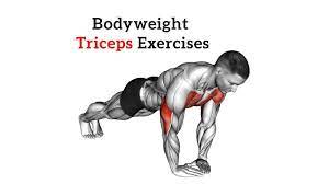 best tricep workout at home without