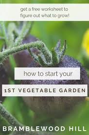 Starting Your First Vegetable Garden