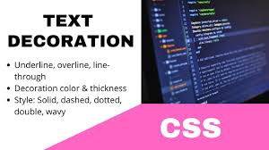 css text decoration type style