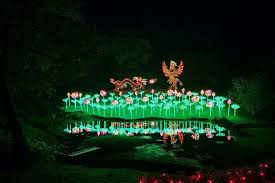 10 best botanical garden holiday lights