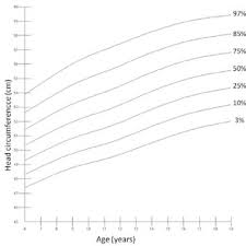 Head Circumference Graph Percentile For Boys Age 6 19 Years