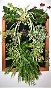 Living Green Plant Wall Bring The