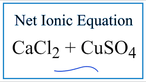net ionic equation for cacl2 cuso4