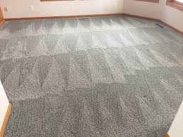 carpet cleaning projects the dry guys