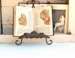 Vintage Anatomy Book Miniature Reproductions Of Wall Size