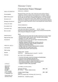 Sample Resume Of Project Manager Emelcotest Com