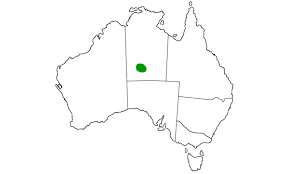 centralian carpet python australian